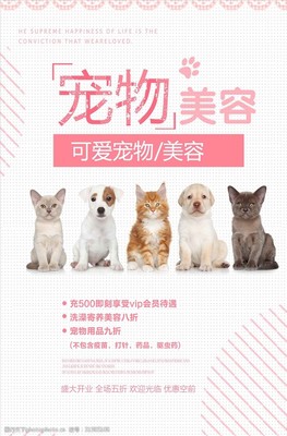 簡約可愛寵物美容海報