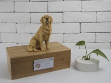 上海金橋?qū)櫸镌\所 互聯(lián)網(wǎng)數(shù)據(jù)服務(wù)的創(chuàng)新應(yīng)用與價(jià)值